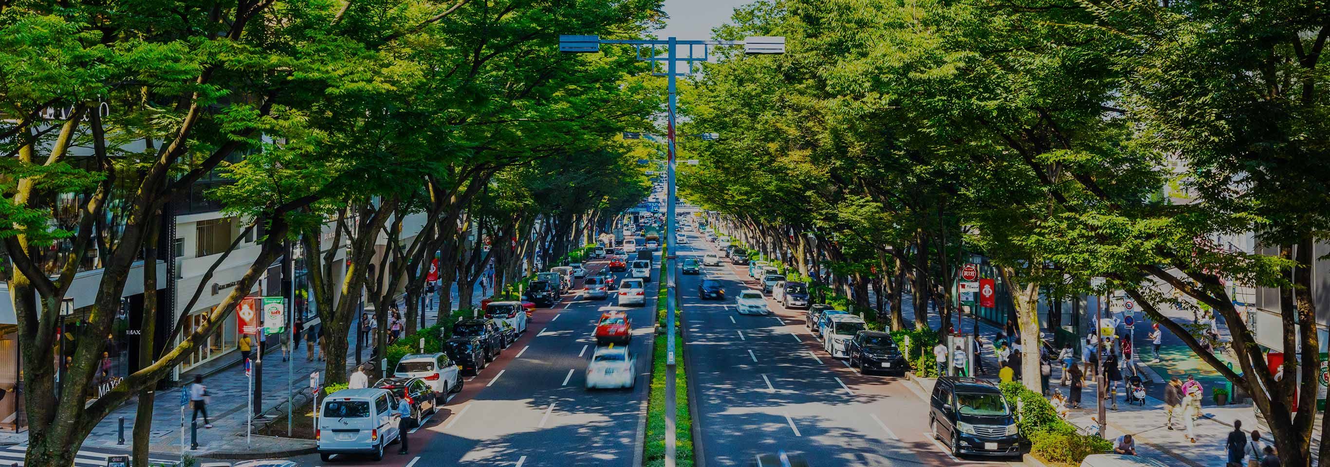 表参道・原宿エリア