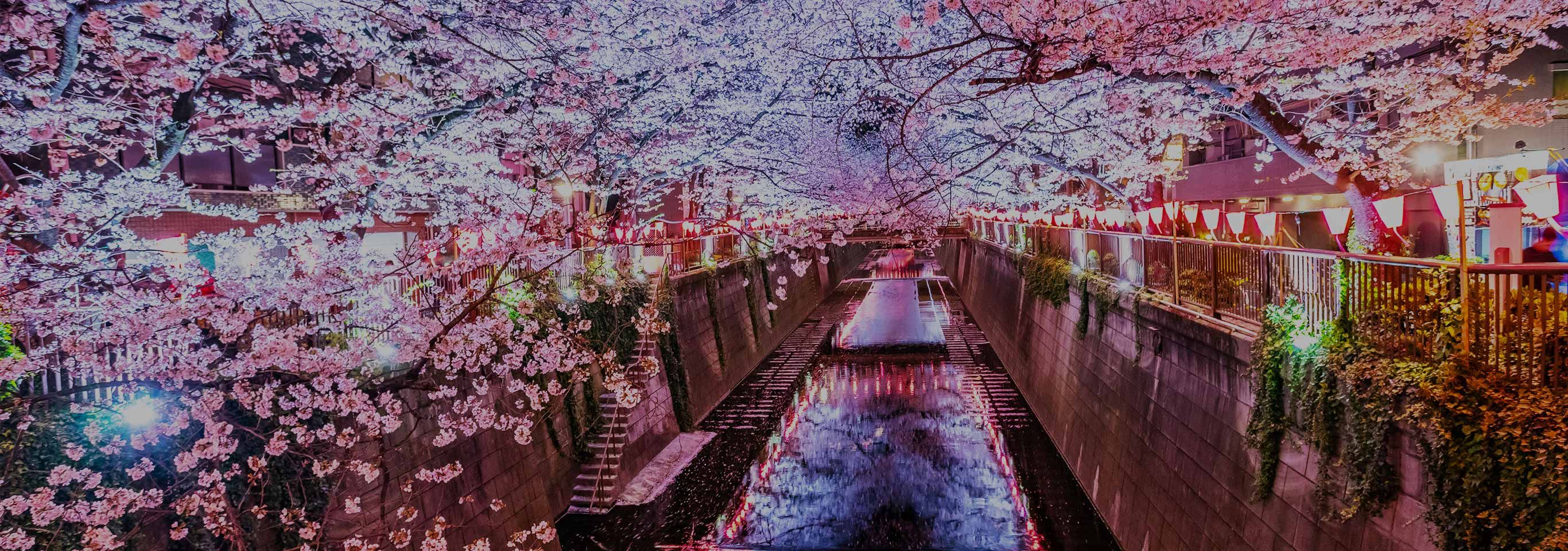 中目黒エリア